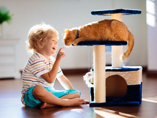 The Ultimate Guide to Cat Furniture in New Zealand: Unleash Your Feline Friend's Inner Tiger! - Catati NZ
