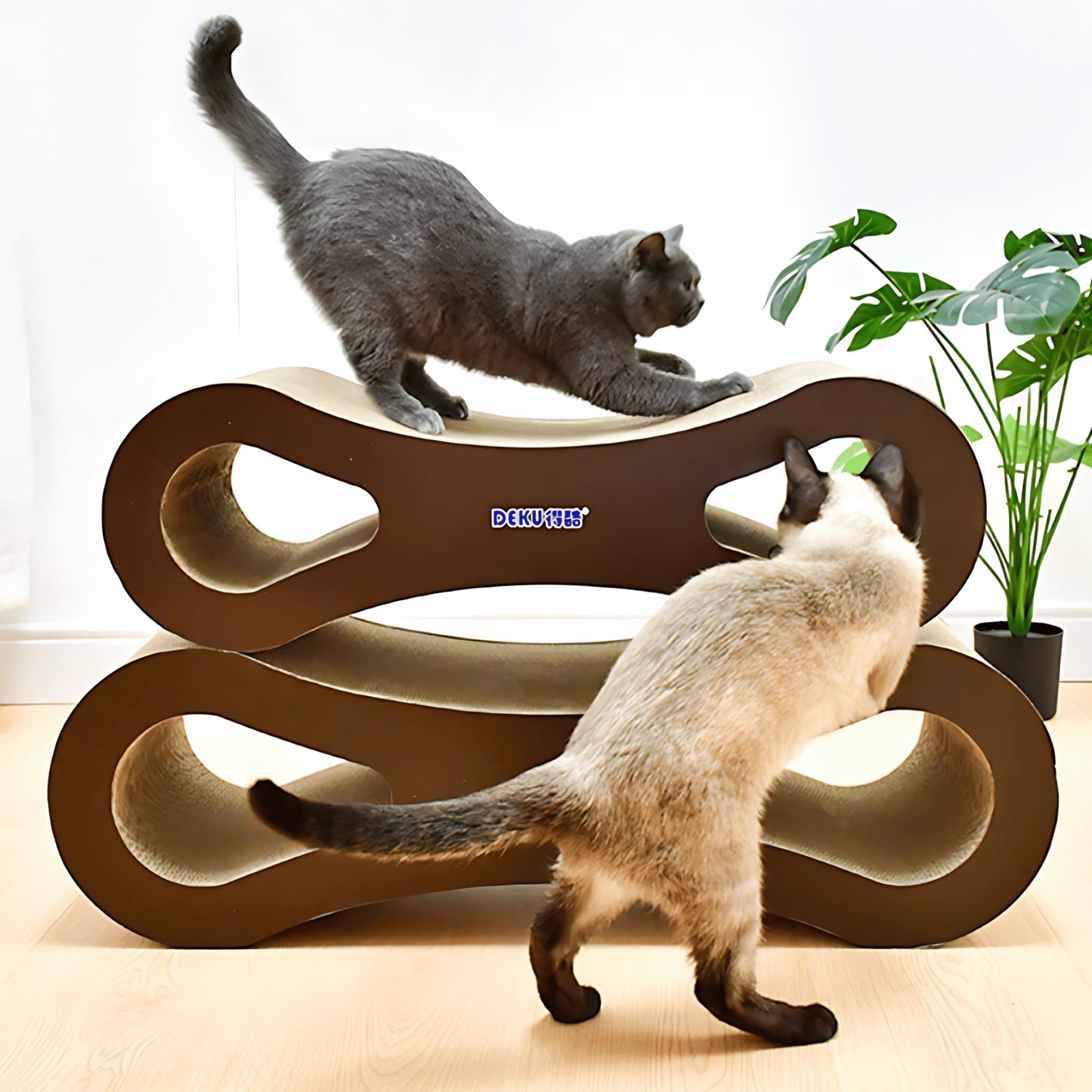 8-shaped Cat Scratching Board-cat-Playing-Catati NZ