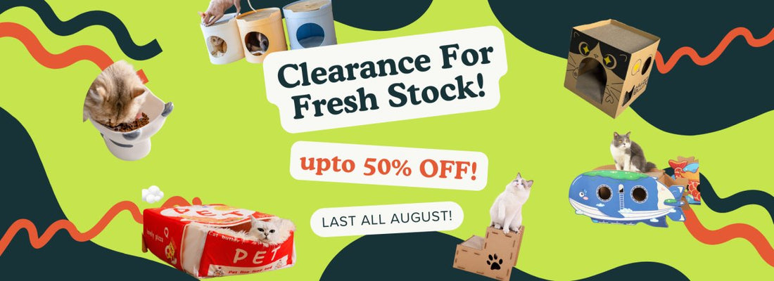 August Clearance: Up to 50% Off on Cat Accessories at Catati! - Catati