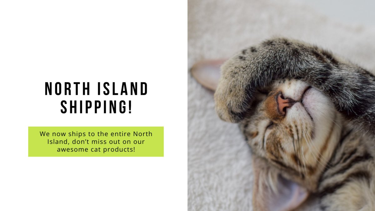 Meow-mazing News! Catati Now Ships to the Whole North Island! - Catati