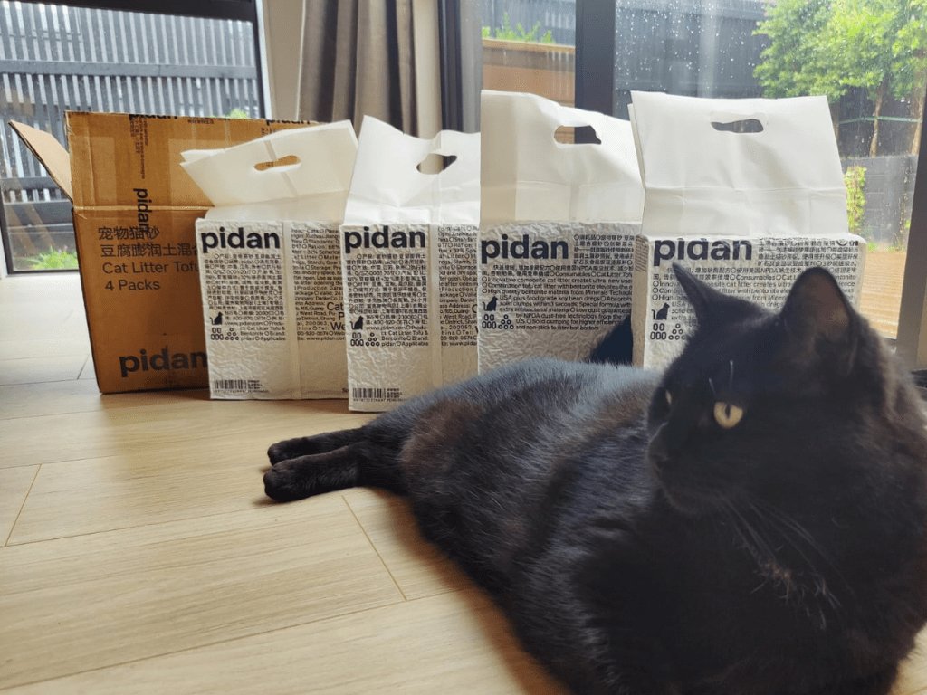 Revolutionizing Cat Care: A Comprehensive Review of Pidan Tofu & Bentonite Combination Cat Litter - Catati