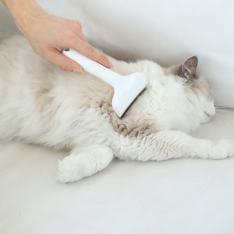 Super Duper Good Cat Brush