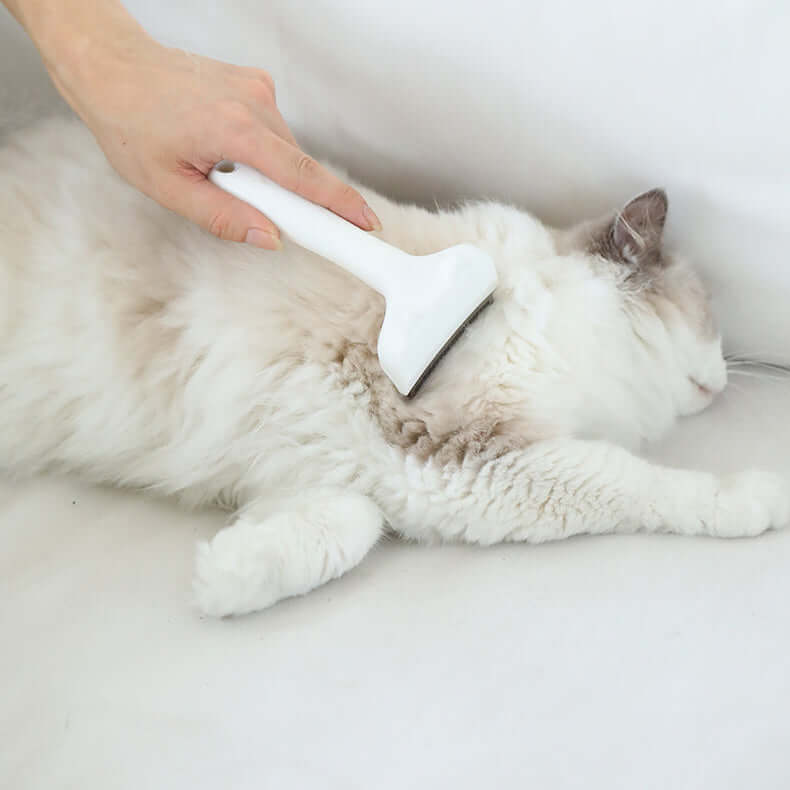 Cat Grooming Starter Kit – Brush, Trim & Protect