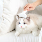 Super Duper Good Cat Brush