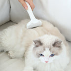 Super Duper Good Cat Brush