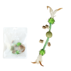 Feather Catnip Wand with Matatabi & Bell – Enrichment Toy