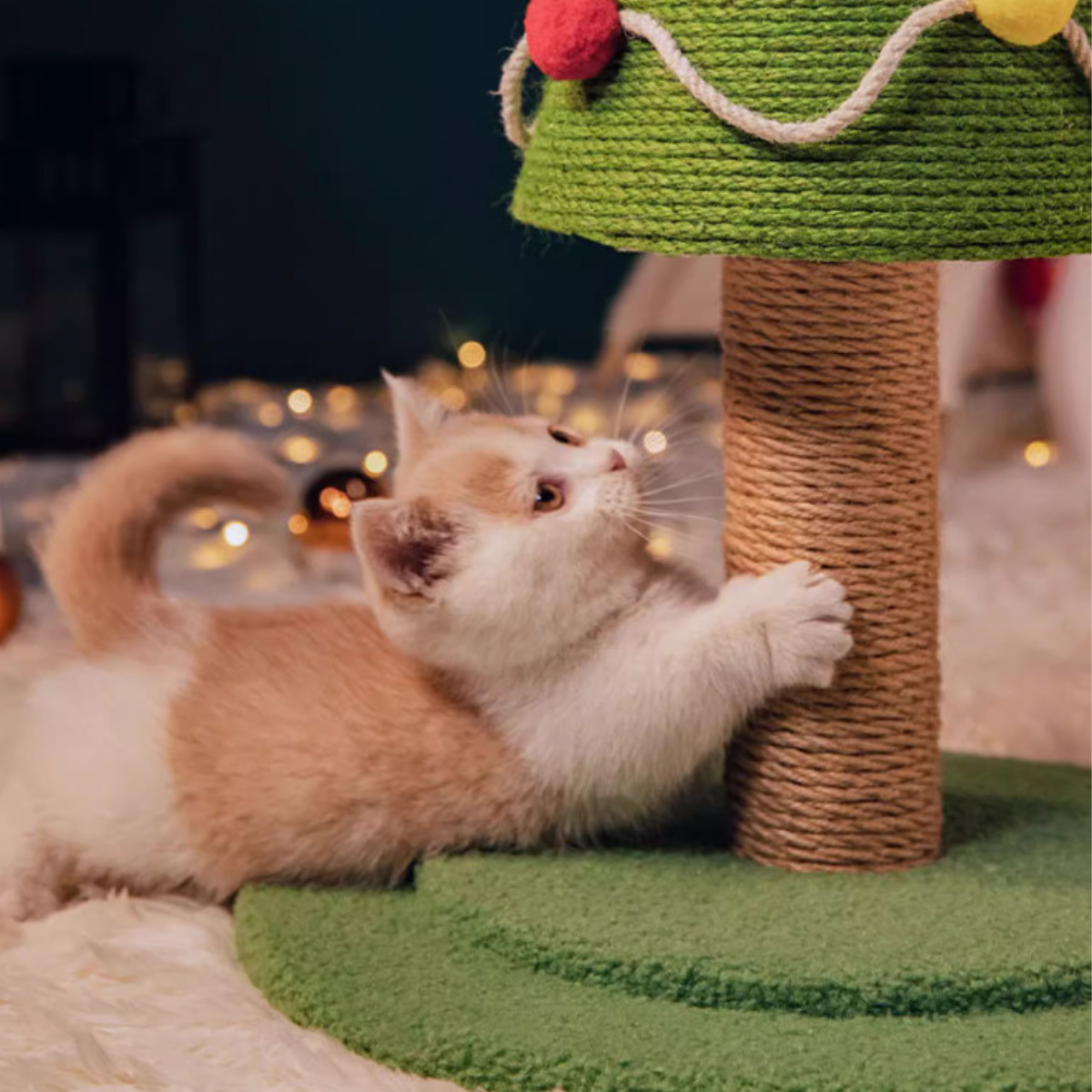 Festive Christmas Tree Cat Scratcher – Holiday Enrichment Post