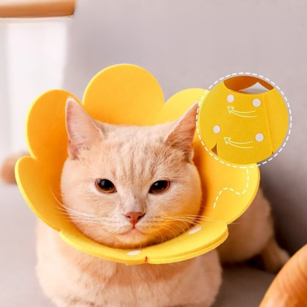 Soft Flower Cat Recovery Collar - Anti-Lick Comfort Cone - S / Yellow - Accessories - Catati Cat Store