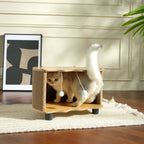 Eggshell Cat Tree with Scratcher & Hanging Toys by CATATI SELECTED - Default Title - Furniture - Catati