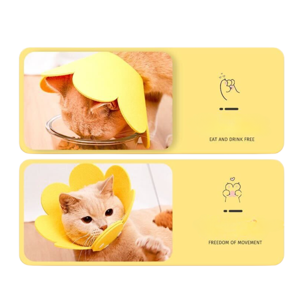 Soft Flower Cat Recovery Collar - Anti-Lick Comfort Cone - S / Yellow - Accessories - Catati Cat Store