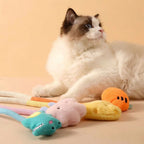 Cat beside colourful plush character cotton rope chew toys