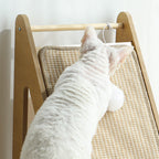 FlipPad L-Shaped Cat Scratching Board by CATATI SELECTED - Default Title - Furniture - Catati