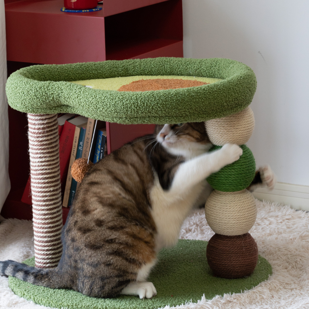Avocado Cat Scratching Post - Sisal & Soft Plush Activity Centre - 55cm | Catati NZ - Default Title - Furniture - Catati Cat Store