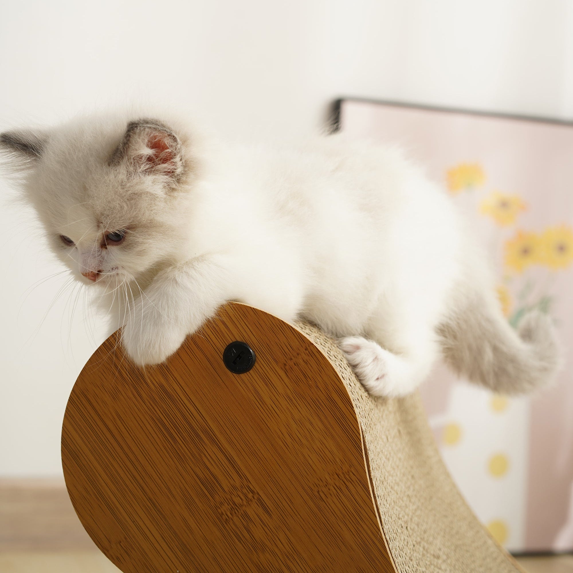 Curved Chaise Cat Scratcher - Premium MDF & Corrugated Cardboard