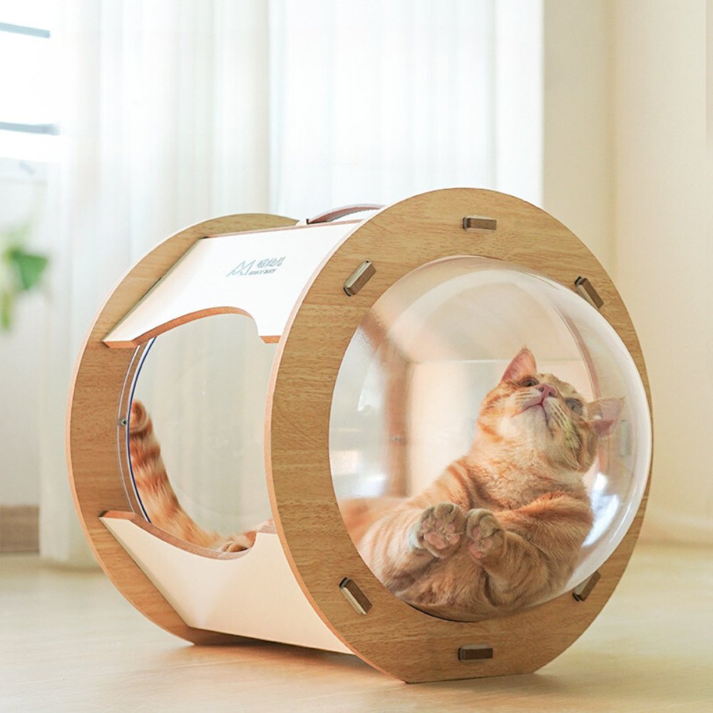 360° Dual - Sided Capsule Cat Bed - catati - nz - cat - products - online