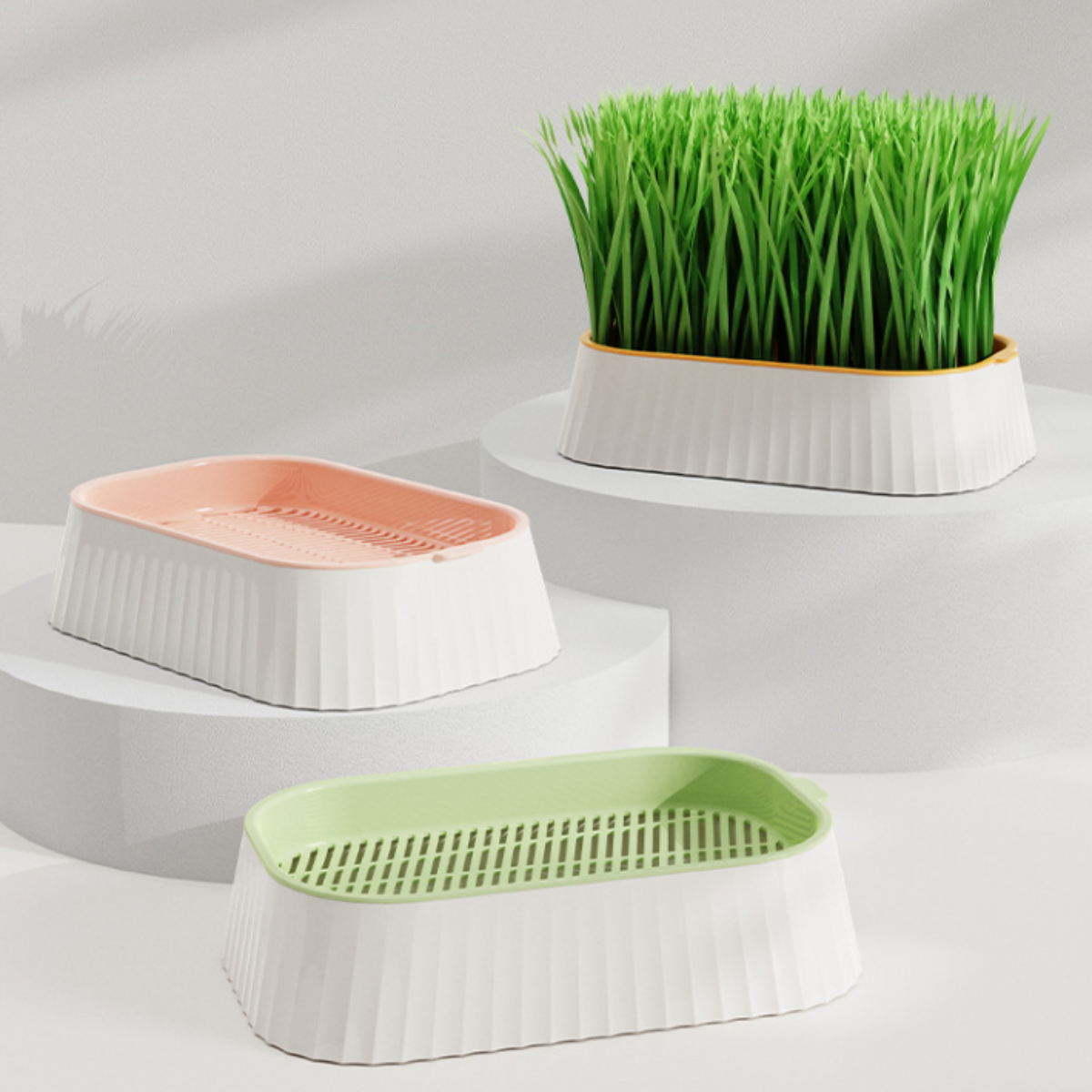 Self-Draining Cat Grass Tray – Mess-Free Growing for Indoor Cats
