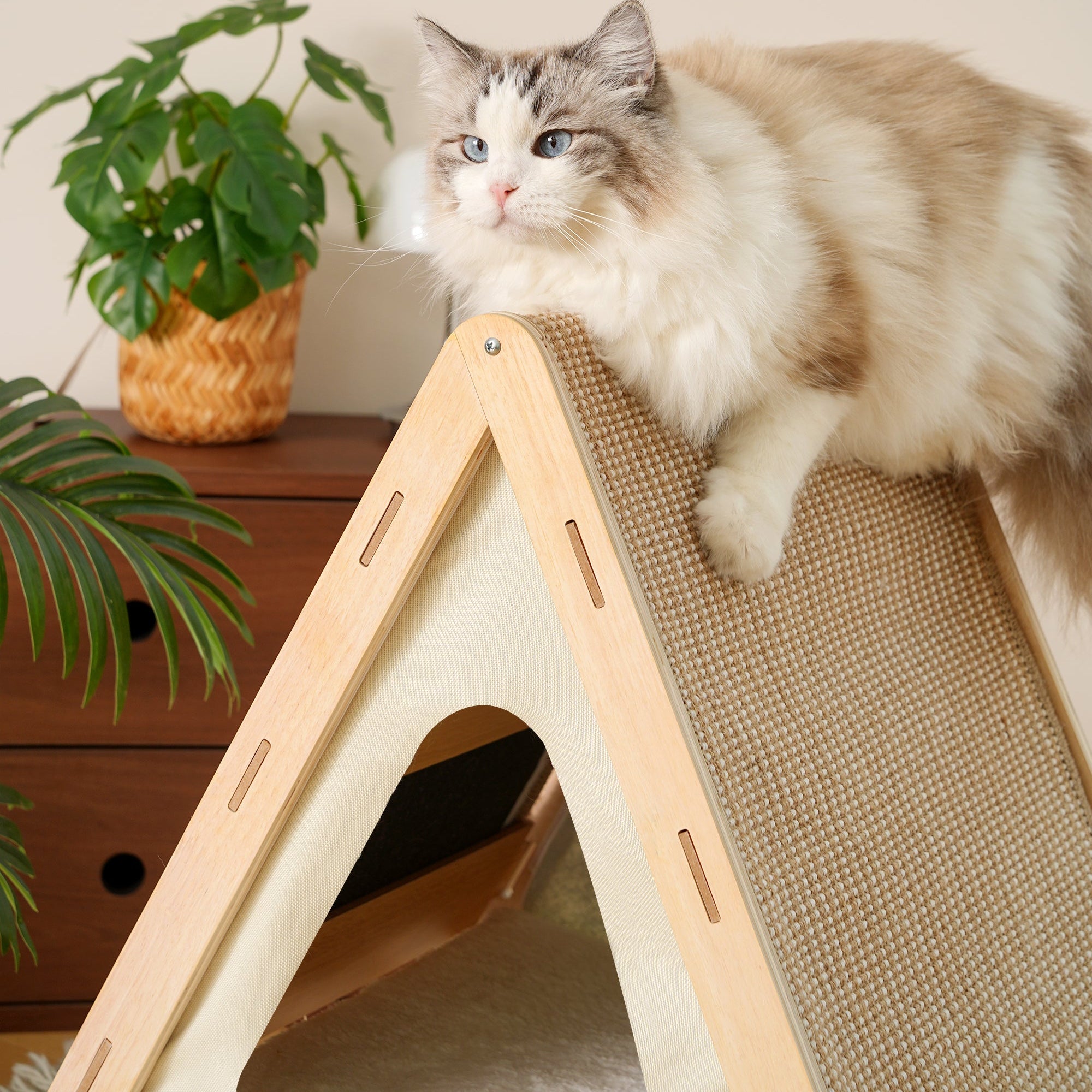 Wooden Triangle Cat House - Scratcher & Lounge