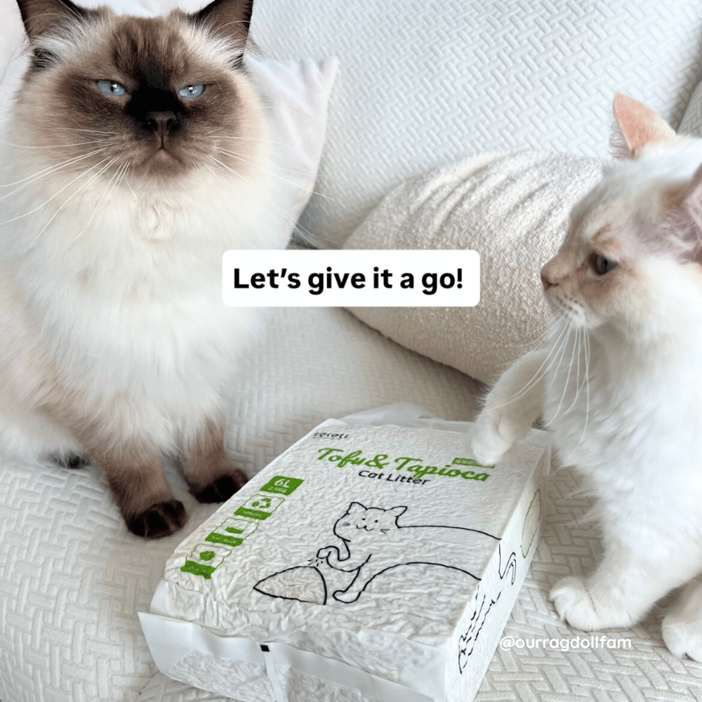 Tofu & Tapioca Cat Litter by CATATI SELECTED - 1-Bag - Litter - Catati