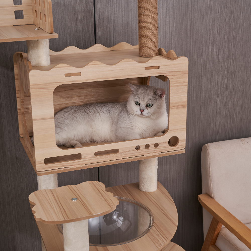 Multi-Level Castle Cat Tree - Dual Space Capsules & Integrated Steps