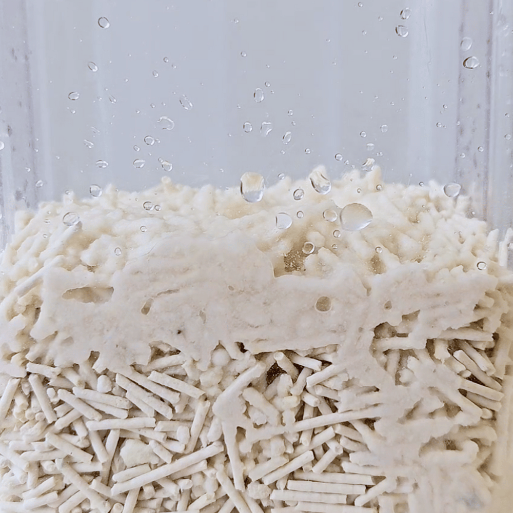 Tofu & Tapioca Cat Litter by CATATI SELECTED - 1-Bag - Litter - Catati