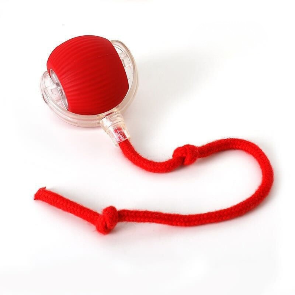 Smart Interactive Wool Ball - Type-C Rechargeable - Red - Catati Cat Store