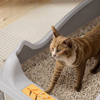 (60cm) XL High Enclosed Stainless Steel Cat Litter Box by CATATI SELECTED - Silver - Litter - Catati