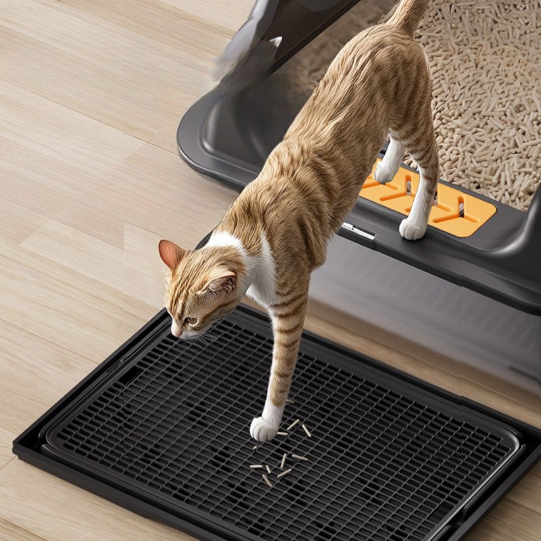 (60cm) XL High Enclosed Stainless Steel Cat Litter Box by CATATI SELECTED - Silver - Litter - Catati