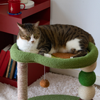 Avocado Cat Scratching Post - Sisal & Soft Plush Activity Centre - 55cm | Catati NZ - Default Title - Furniture - Catati Cat Store