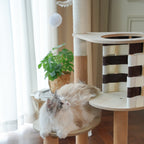 Wooden Design Modern Woven Cat Tree - Woven Cabin & Scratching Posts
