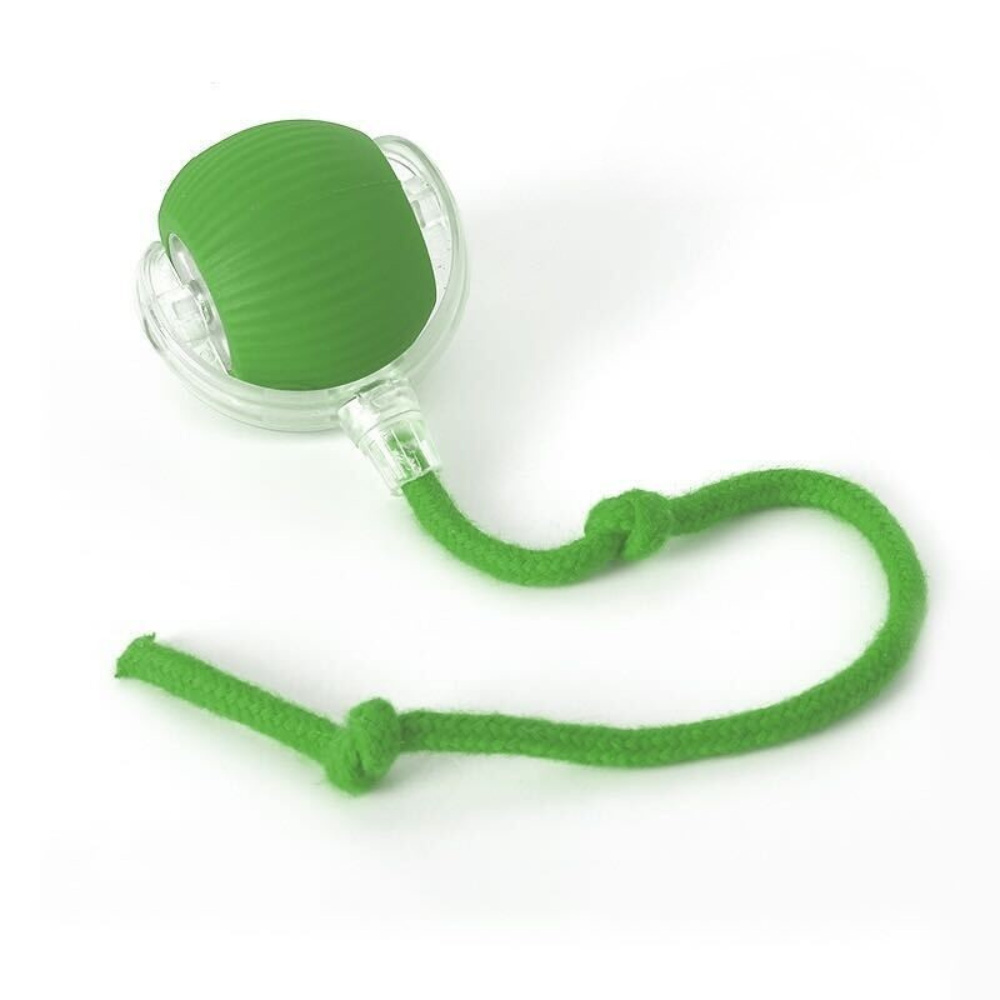 Smart Interactive Wool Ball - Type-C Rechargeable - Green - Catati Cat Store