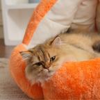 Pumpkin Cave Cat Bed - Ultra-Soft Plush Sanctuary