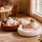 Plush Cat Paw Bed - Deep Sleep Comfort