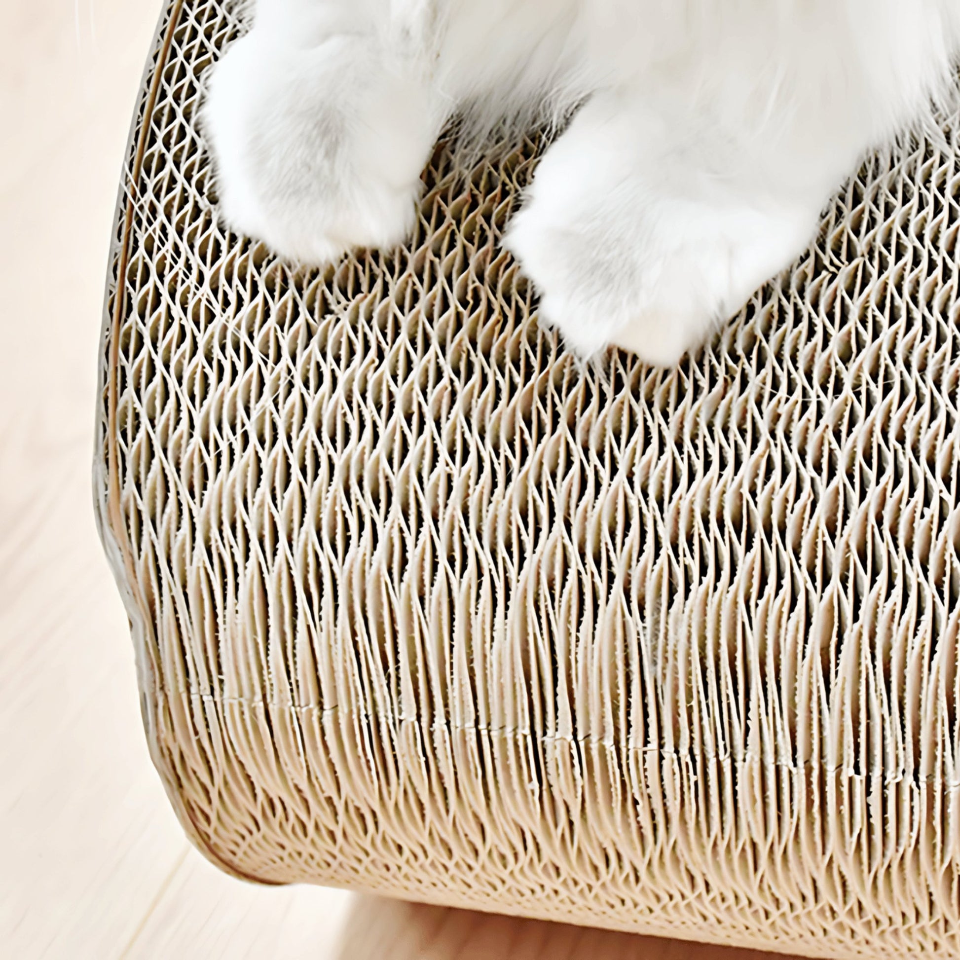 60cm 8(∞) - shaped Cat Scratching Board - catati - nz - cat - products - online