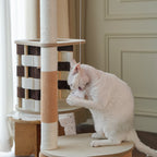 Wooden Design Modern Woven Cat Tree - Woven Cabin & Scratching Posts