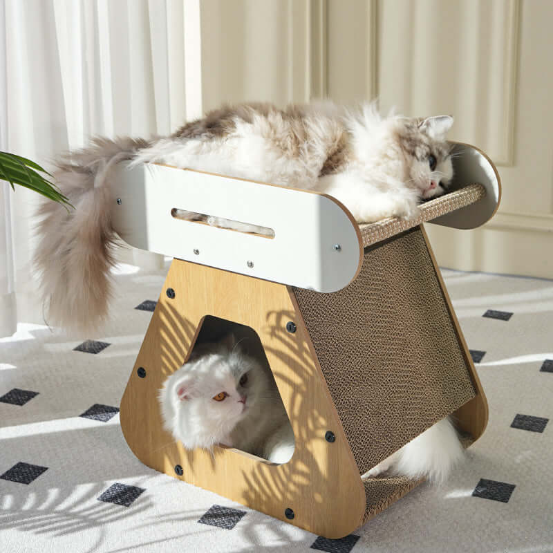 Indoor Cat Enrichment Bundle – Scratch, Chase & Lounge