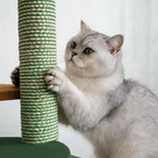 Full view of the flower cat tree with a cat on the top perch, staggered green platforms and an enclosed lower hideaway.