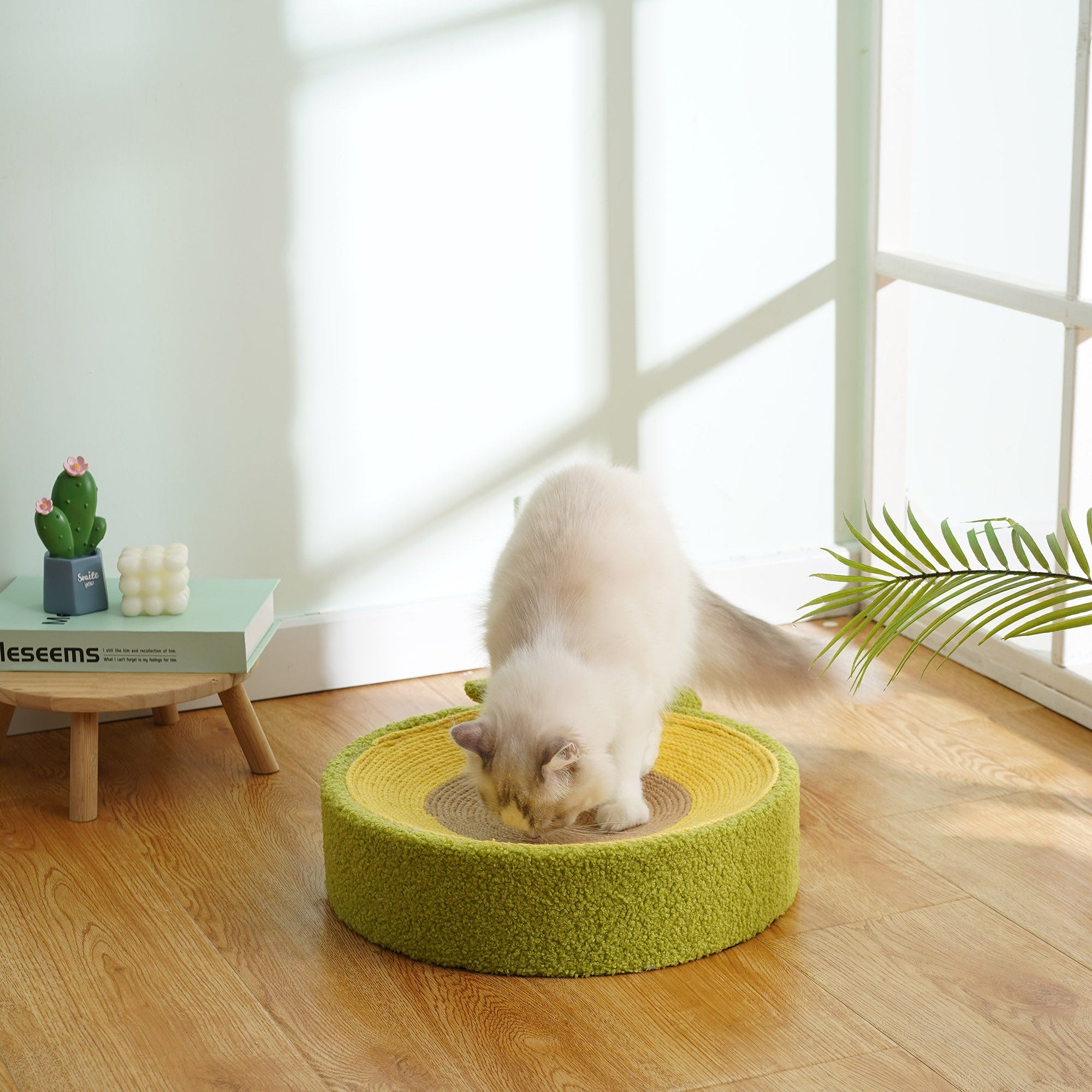 Avocado Cat Scratcher Bed – Plush Green Design with Natural Sisal by CATATI SELECTED - Default Title - Furniture - Catati