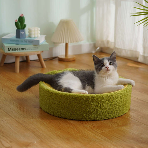 Avocado Cat Scratcher Bed – Plush Green Design with Natural Sisal - Default Title - Furniture - Catati Cat Store