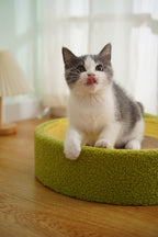 Avocado Cat Scratcher Bed – Plush Green Design with Natural Sisal by CATATI SELECTED - Default Title - Furniture - Catati