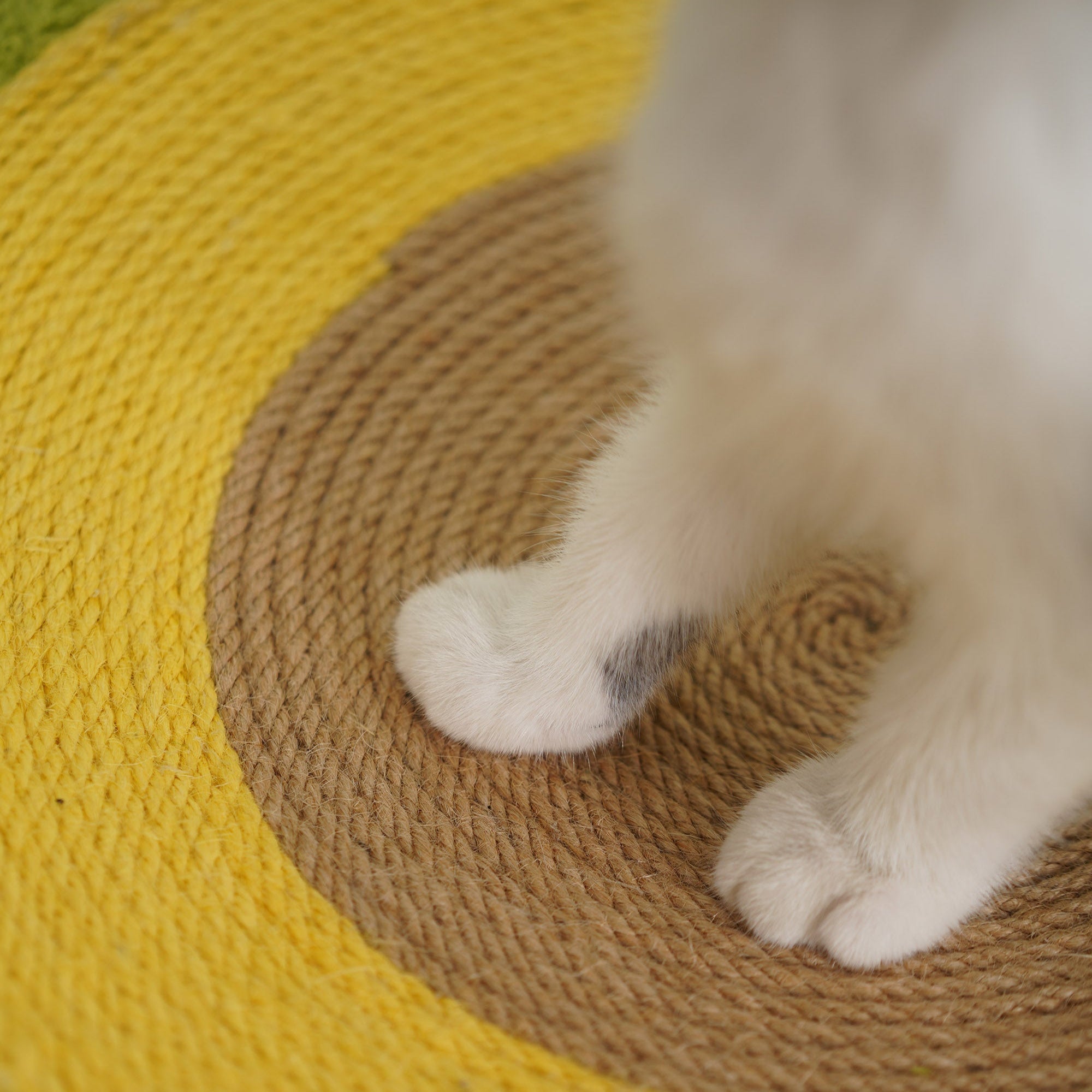 Avocado Cat Scratcher Bed – Plush Green Design with Natural Sisal by CATATI SELECTED - Default Title - Furniture - Catati