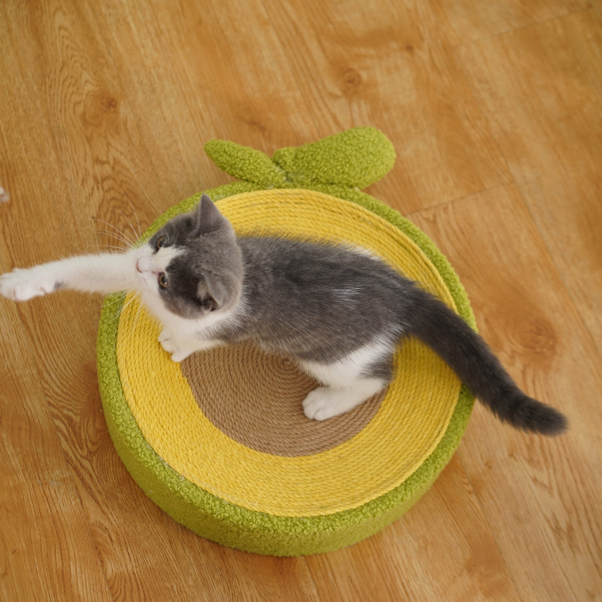 Avocado Cat Scratcher Bed – Plush Green Design with Natural Sisal by CATATI SELECTED - Default Title - Furniture - Catati