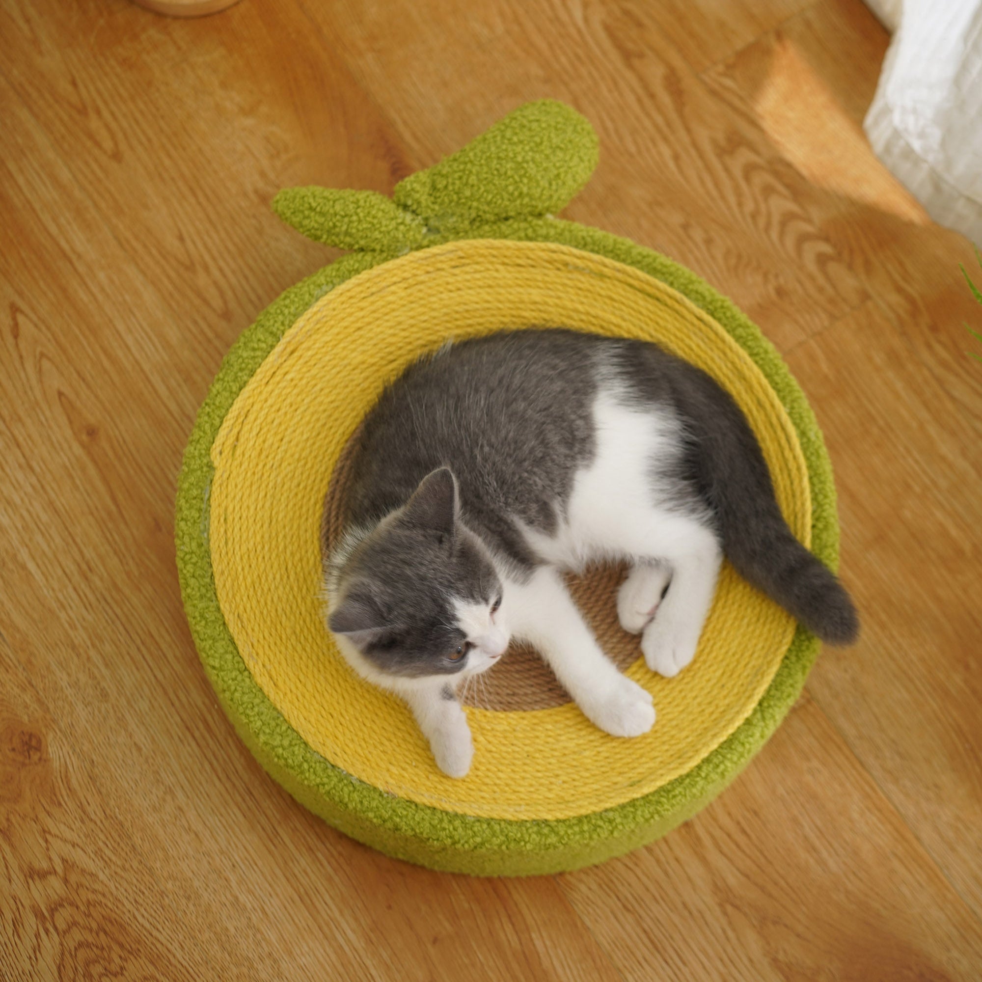 Avocado Cat Scratcher Bed – Plush Green Design with Natural Sisal by CATATI SELECTED - Default Title - Furniture - Catati