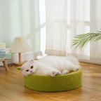 Avocado Cat Scratcher Bed – Plush Green Design with Natural Sisal by CATATI SELECTED - Default Title - Furniture - Catati