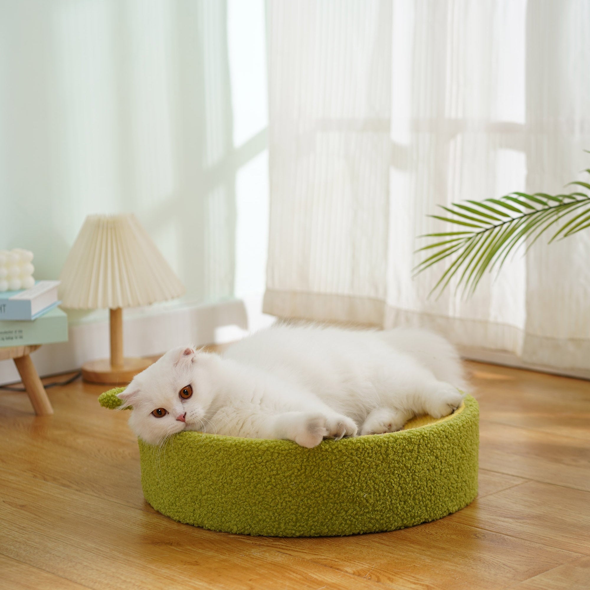 Avocado Cat Scratcher Bed – Plush Green Design with Natural Sisal by CATATI SELECTED - Default Title - Furniture - Catati