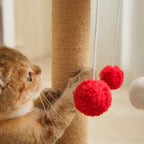 Cedar Cat Scratching Post - Sisal & Snow-Cap Design