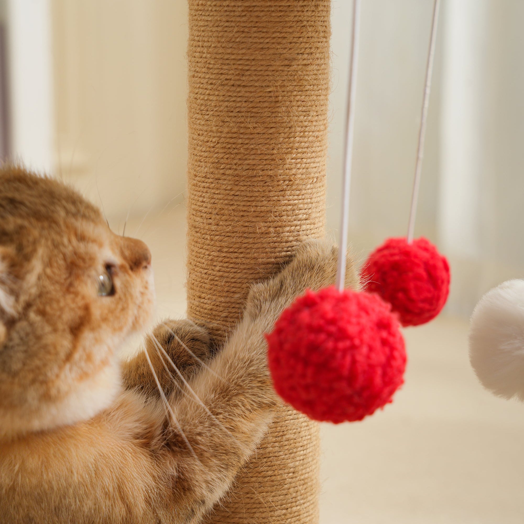 Cedar Cat Scratching Post - Sisal & Snow-Cap Design