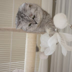 Multi-Level Cat Tree NZ – 140cm Condo Tower with Scratching Posts