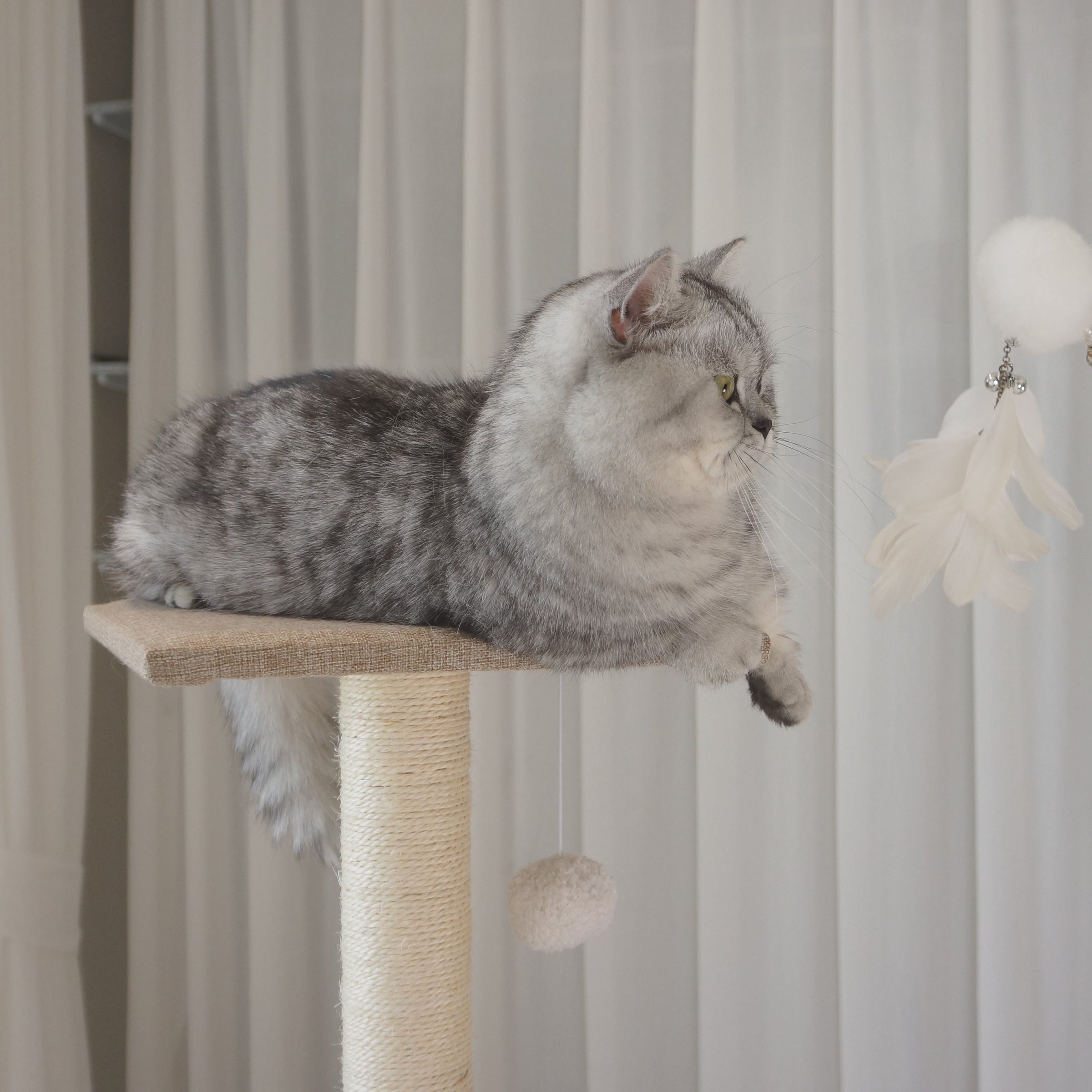 Multi-Level Cat Tree NZ – 140cm Condo Tower with Scratching Posts