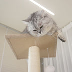 Multi-Level Cat Tree NZ – 140cm Condo Tower with Scratching Posts