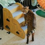 Wooden Cat Stairs – Safe & Stylish Step Support for Cats by CATATI SELECTED - Default Title - Furniture - Catati